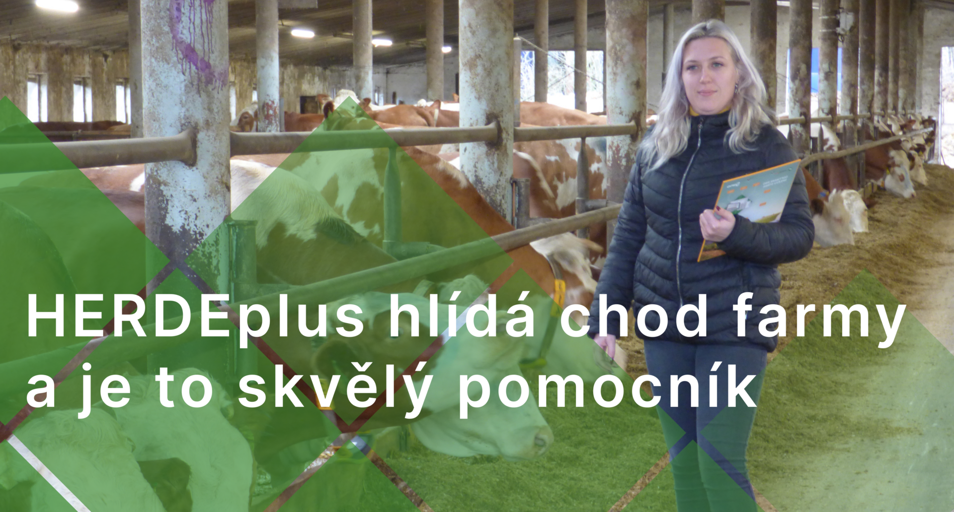 Nadpis článku na webu 3